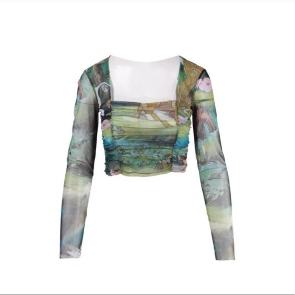 Bambi Mesh Ruched Long Sleeve Crop Top